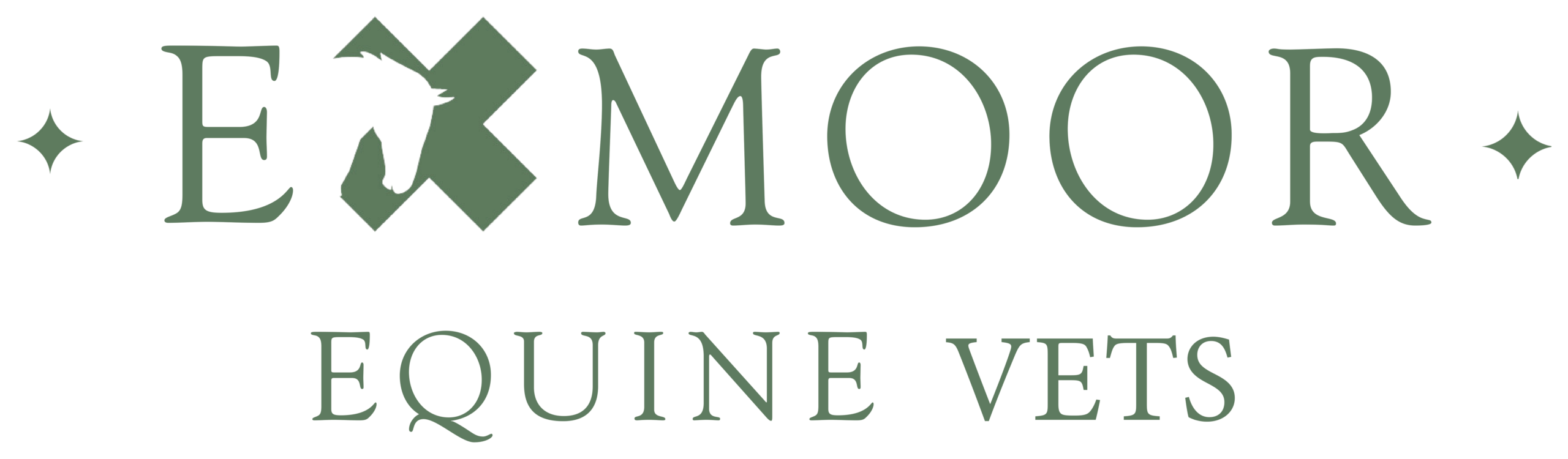 exmoor equine vets green transparent exact